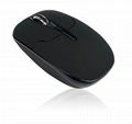Computer Mouse 3
