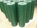 PVC Welded Wire Mesh Fence 4