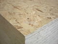 2011 hot-sale high quality WBP glue OSB