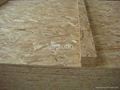 2011 hot-sale high quality melamine glue OSB for construction and furniture 1