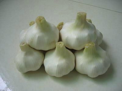 fresh garlic 3