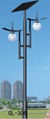 Solar Street Lighting 4