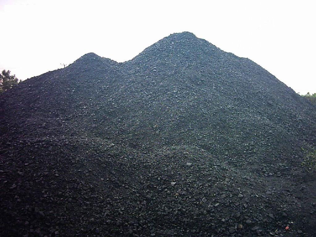 Steam coal