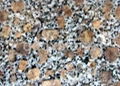 China pearl flower granite