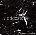 black with white veins marble