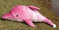 海乐园时尚仿真毛绒玩具·最新仿真粉色海豚