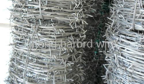 bared wire 2