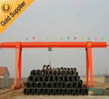 Single beam gantry crane 1