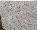 Granite 4