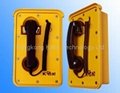 DTMF Rot resistance telephone alarm system 1
