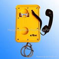 DTMF Rot resistance telephone alarm system 3