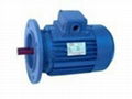 Induction Motor 3