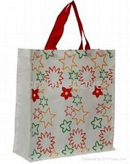 Non woven reuse  bag