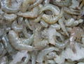 White Shrimp HLSO 1