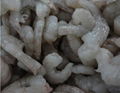 Peeled Shrimp