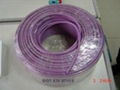 西门子紫色2芯电缆6XV1830-0EH10  1