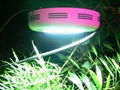 90x1w led growing lamps 5