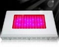 300W(144X2w led growing lights