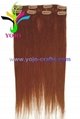 Remy Human Hair extension  2
