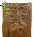 Remy human hair Clip-in hair extensions