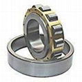 NJ304-E-TVP2 Cylindrical roller bearing