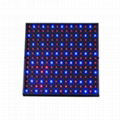 LED grow light panel 14w 1