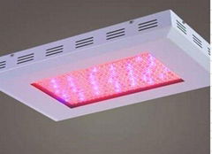 300w LED grow light  (2w led chip)