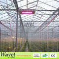 300w LED grow light  (2w led chip) 5