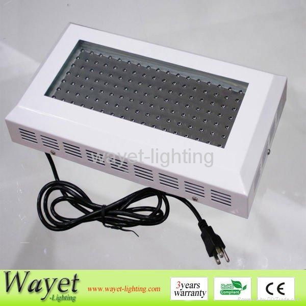 led aquarium light 165w blue & white for coral growing