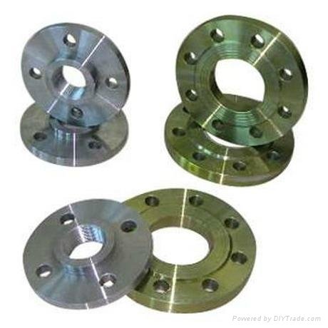 Sanitary Flanges 4