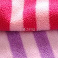 polar fleece 1