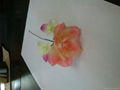 flower forever flower rose 3