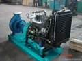 Diesel Engine water pump set 1