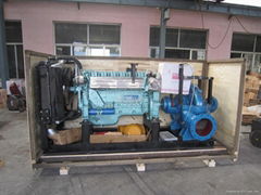 Diesel water pump set