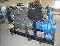 Diesel engine water pump set