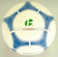 Futsal Ball 1