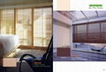 Basswood Blinds