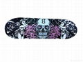 17*5inch skateboard