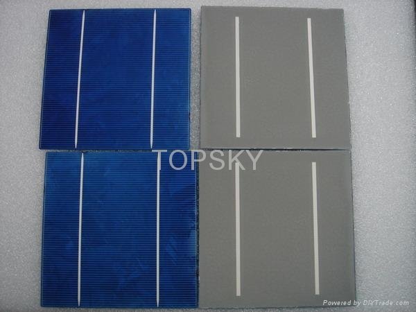 A grade Motech poly 156mm solar cell