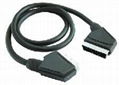 Scart Cable