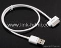 Apple Dock Connector to USB Cable 1