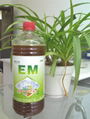 EM益生菌多效活性液Ⅰ（養殖專用）em菌液 1