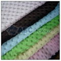 100% polyester minky dot velvet fabric  4