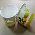 double pe Ice cream paper cup