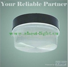 Ceiling light for induction lamps
