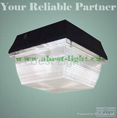 Ceiling lighting for induction lamp