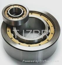 Cylindrical Roller Bearing