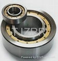 Cylindrical Roller Bearing