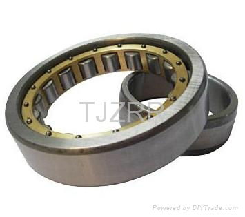 Cylindrical Roller Bearing 2