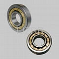 Cylindrical Roller Bearing